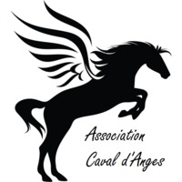 Status de l'association